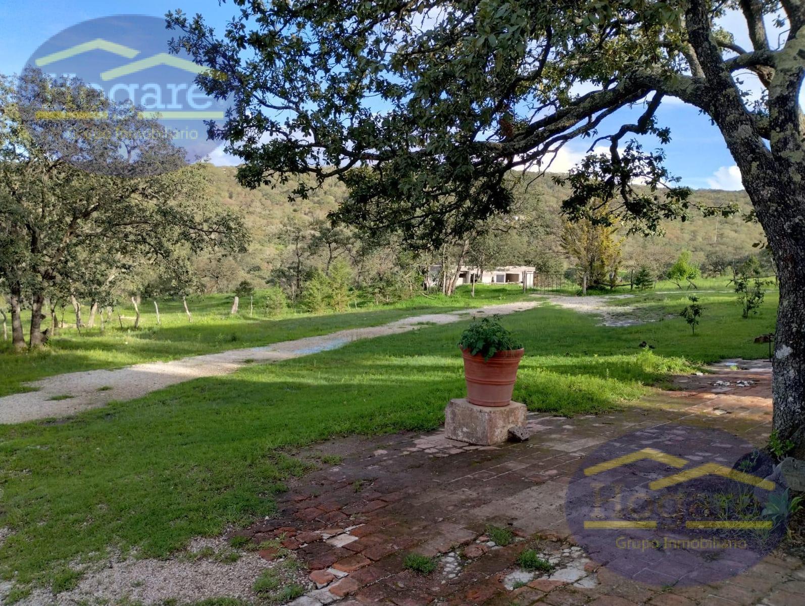 Venta  de Terrenos 1ha, Fracc Vergel de la Sierra, Sierra de Lobos León Gto