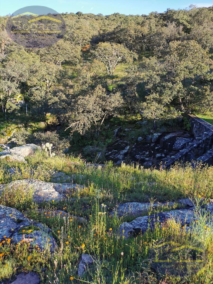 Venta  de Terrenos 1ha, Fracc Vergel de la Sierra, Sierra de Lobos León Gto