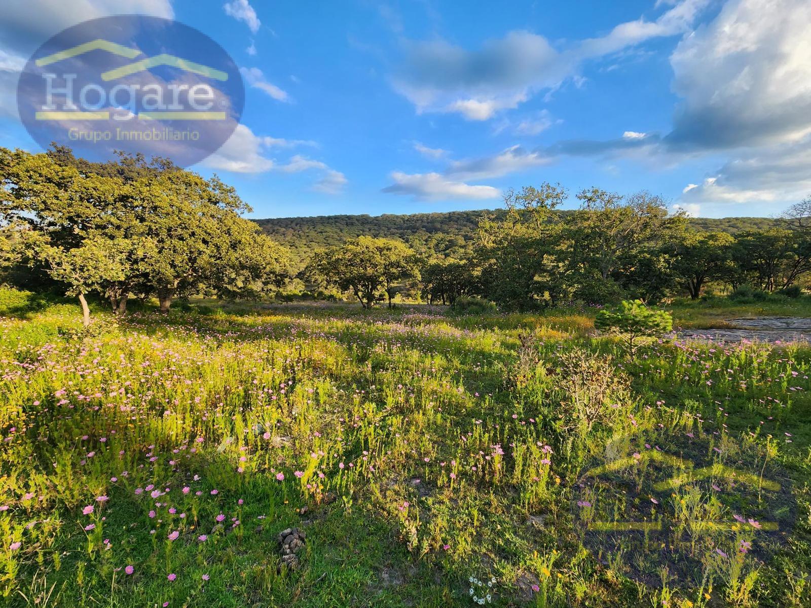 Venta  de Terrenos 1ha, Fracc Vergel de la Sierra, Sierra de Lobos León Gto