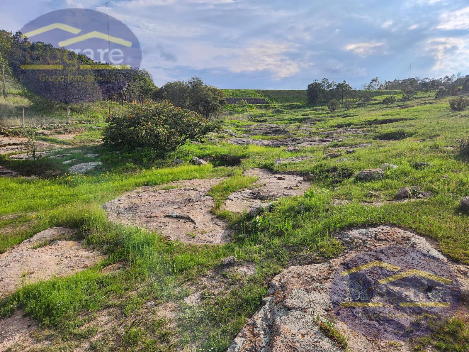 Venta  de Terrenos 1ha, Fracc Vergel de la Sierra, Sierra de Lobos León Gto