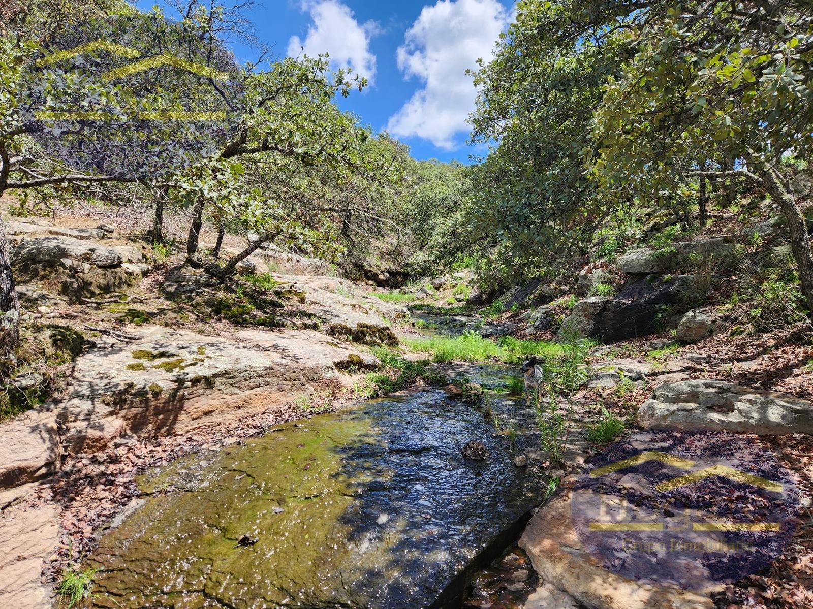 Venta  de Terrenos 1ha, Fracc Vergel de la Sierra, Sierra de Lobos León Gto