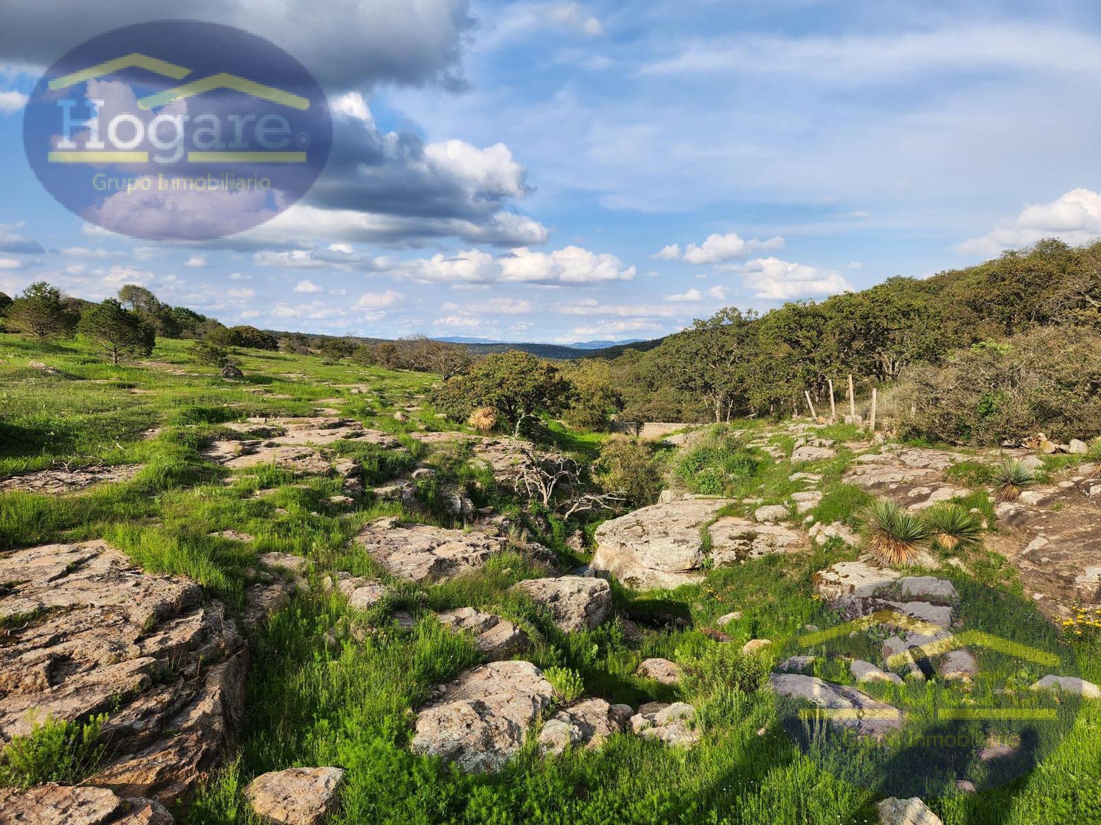 Venta  de Terrenos 1ha, Fracc Vergel de la Sierra, Sierra de Lobos León Gto