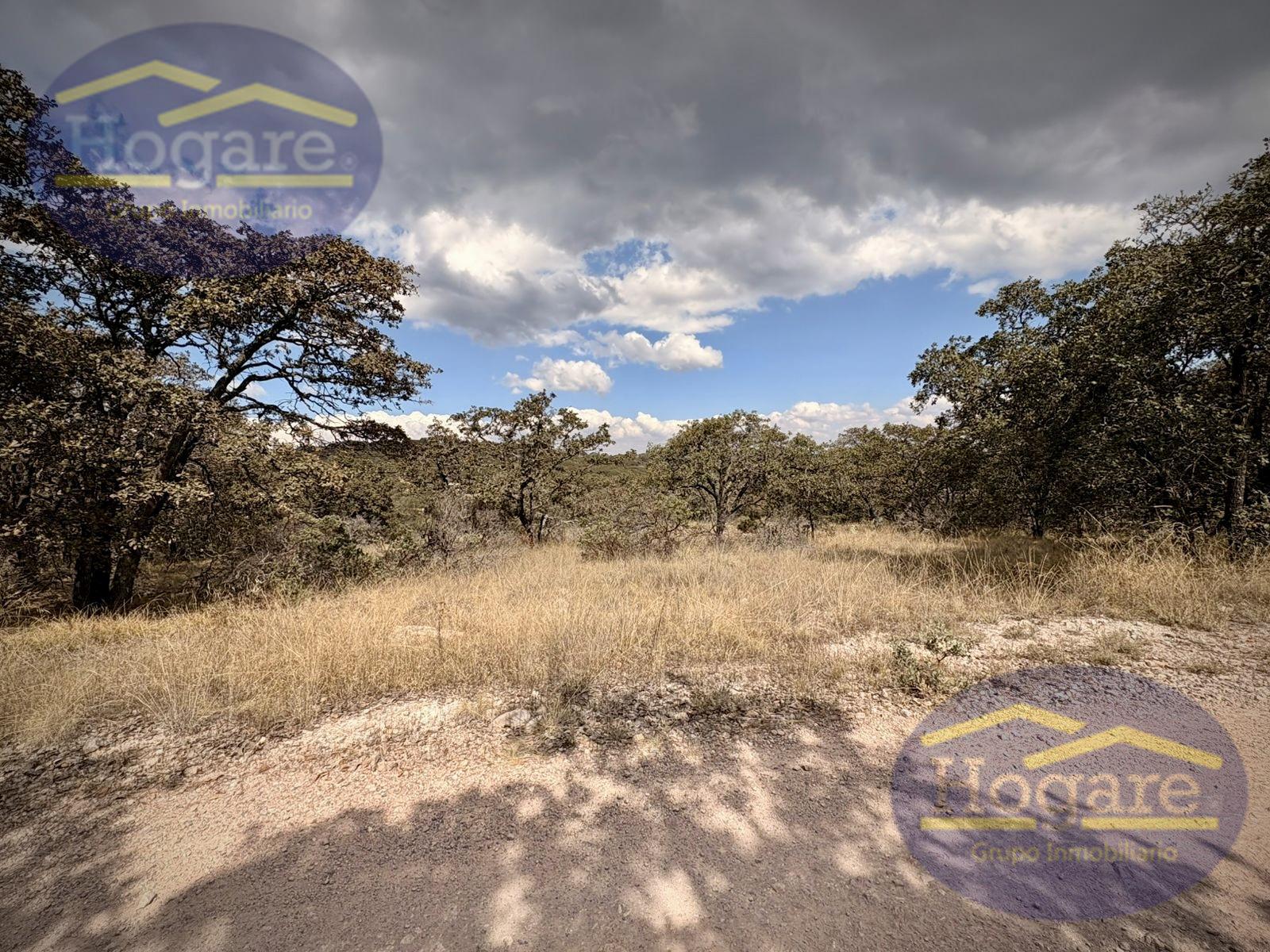 Terreno en Venta Vergel de la Sierra, León Gto