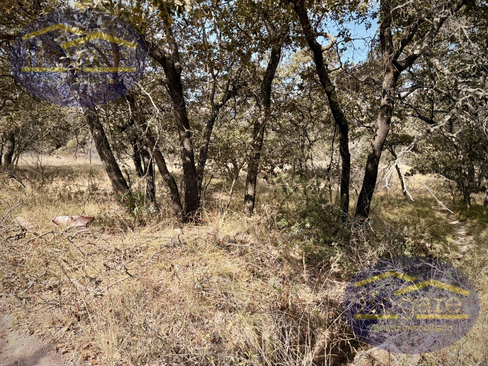 Terreno en Venta Vergel de la Sierra, León Gto