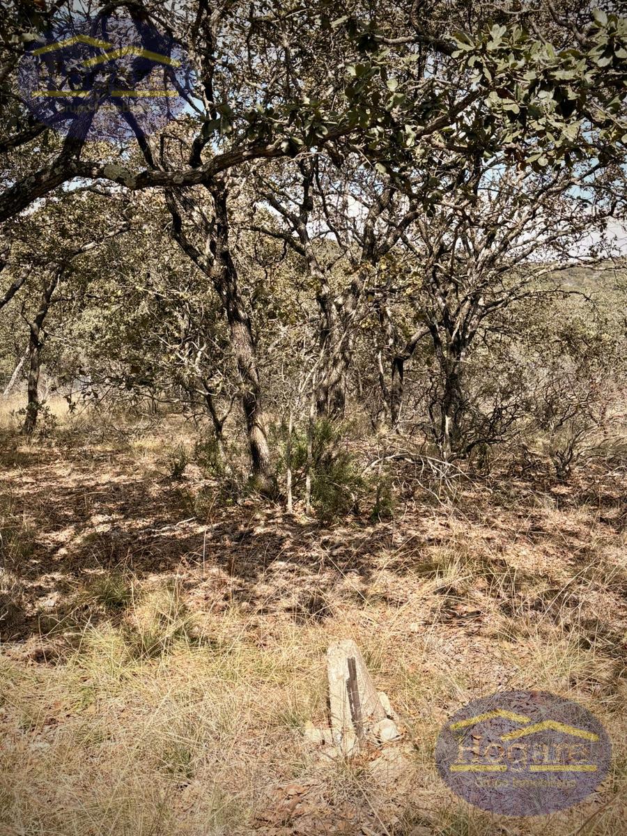 Terreno en Venta Vergel de la Sierra, León Gto