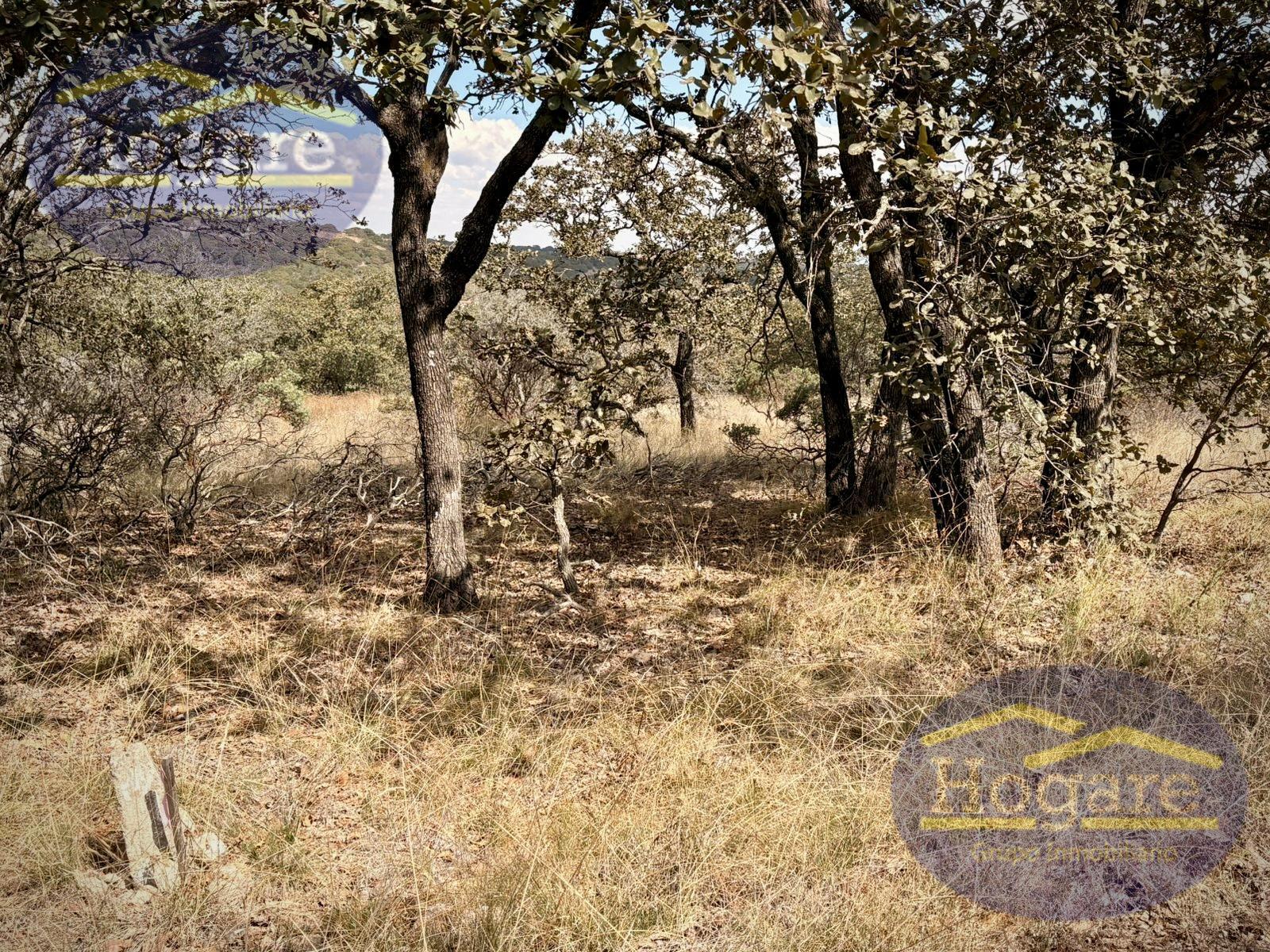 Terreno en Venta Vergel de la Sierra, León Gto