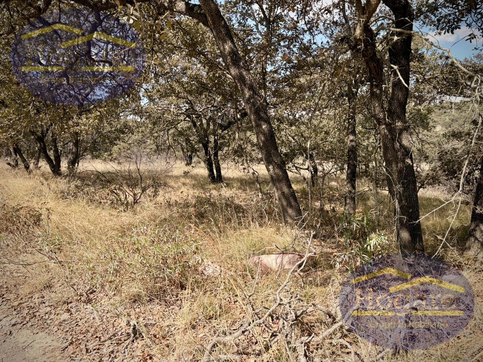 Terreno en Venta Vergel de la Sierra, León Gto