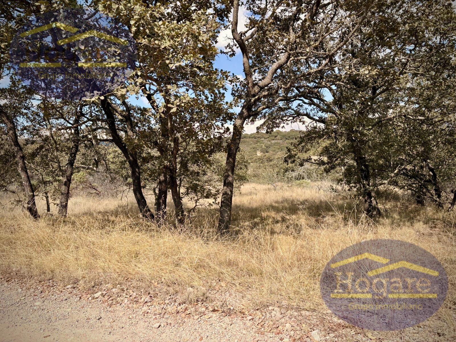 Terreno en Venta Vergel de la Sierra, León Gto