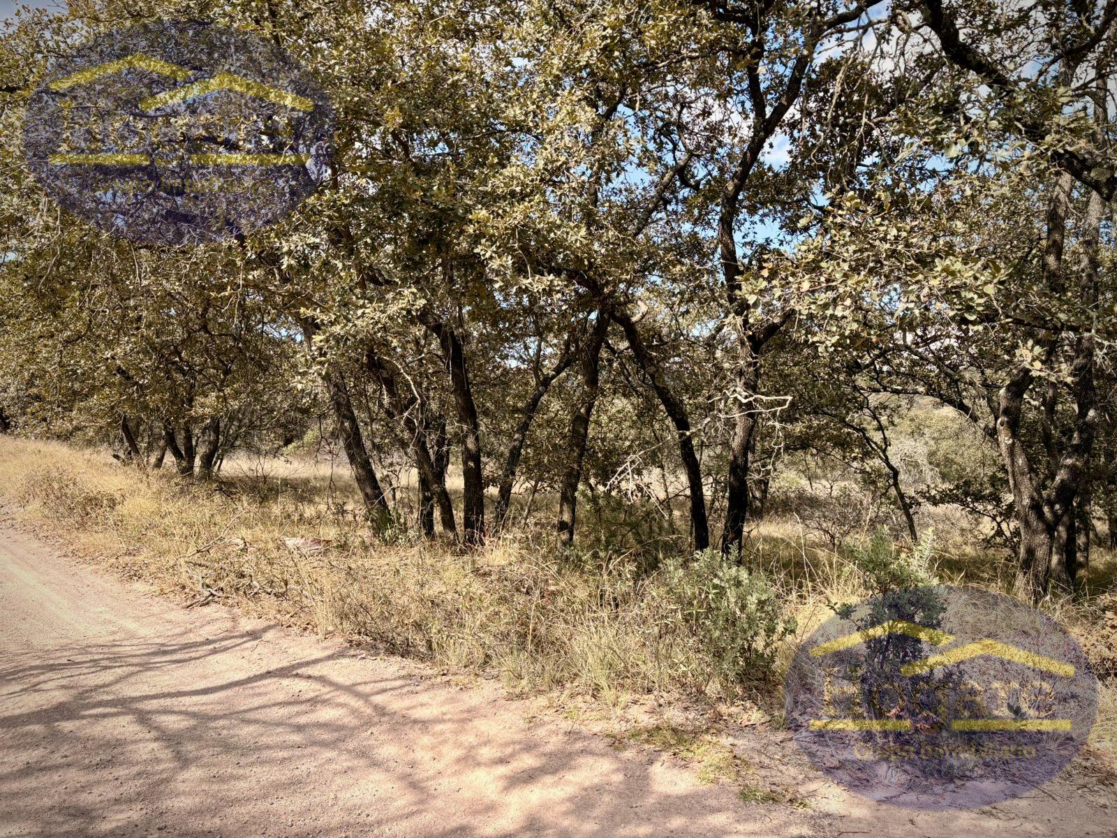 Terreno en Venta Vergel de la Sierra, León Gto